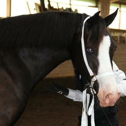 20151213_203604000_iOS