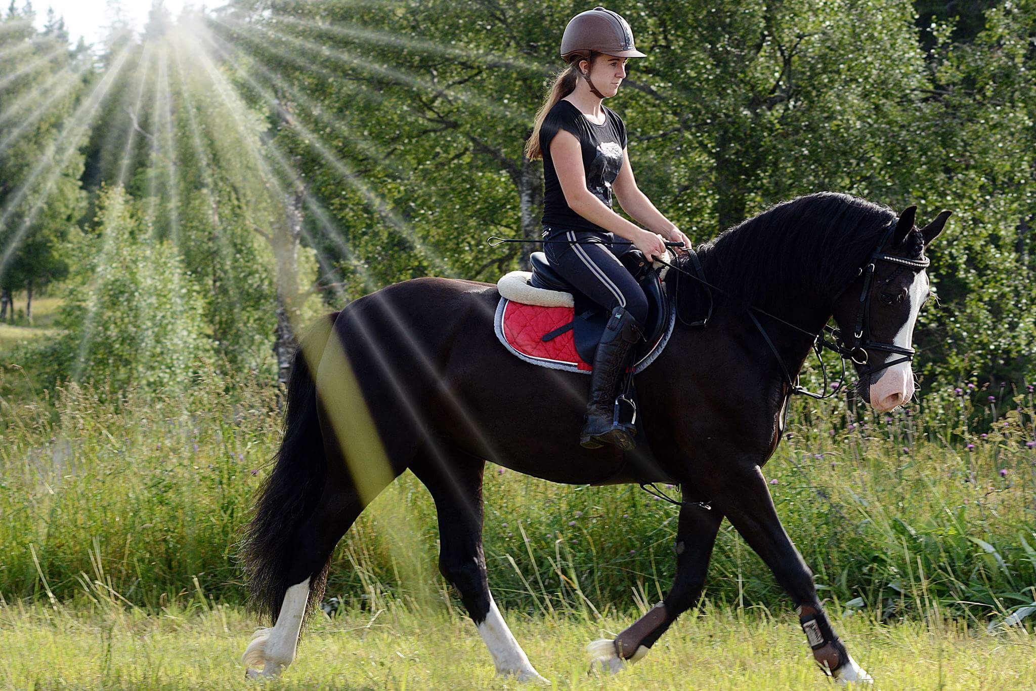 20170720_194232184_iOS