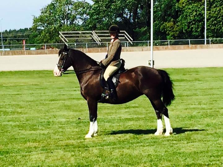 11888079_10206353708295872_5347233050197240816_n