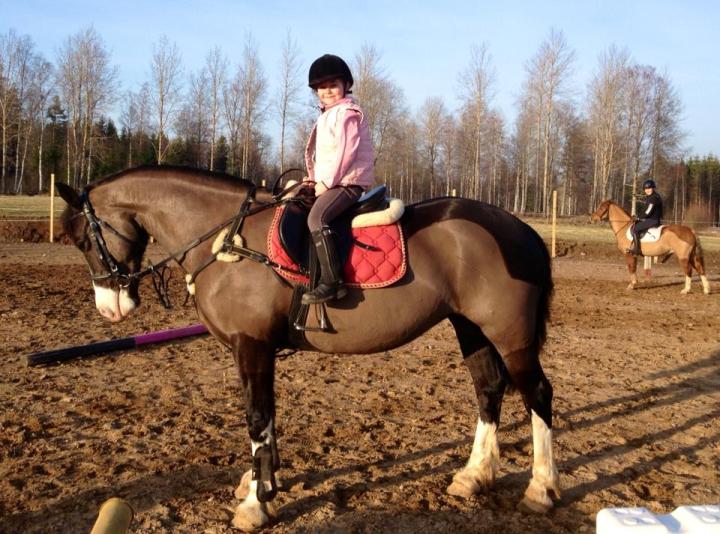 1208588_10202642476317392_1623034062_n