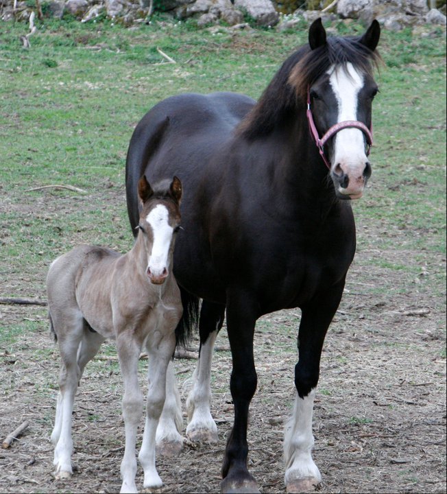 222075_1953226424648_1438929_n