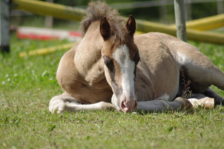 264538_2145244384977_6219784_n