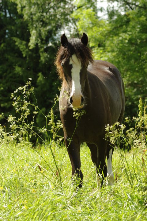 267463_2145220904390_1776217_n