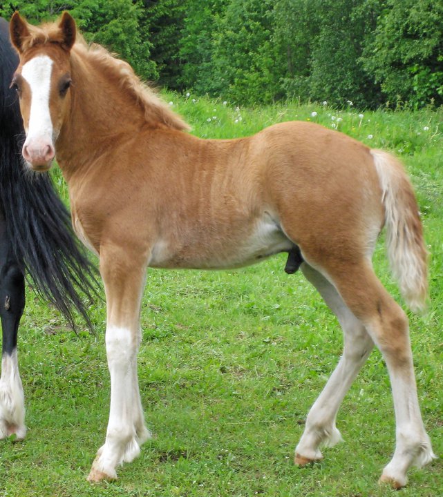 30196_1462368193499_4289742_n