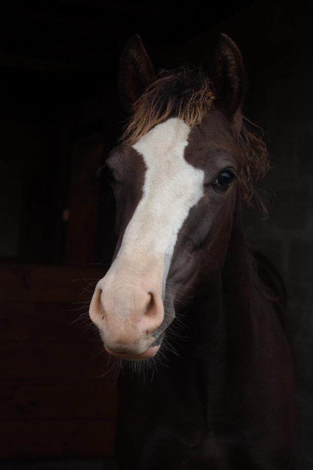 311035_2325572413065_944656898_n