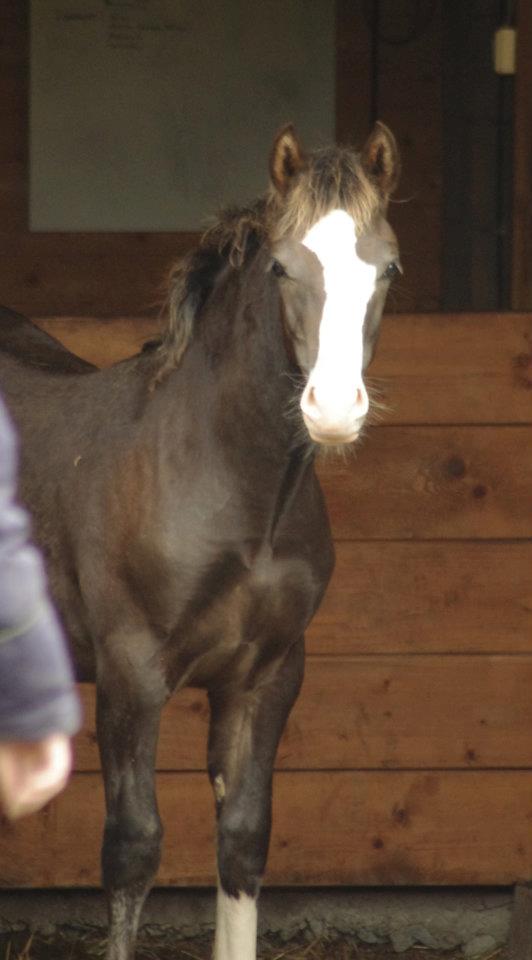 311510_2325573213085_1710325286_n