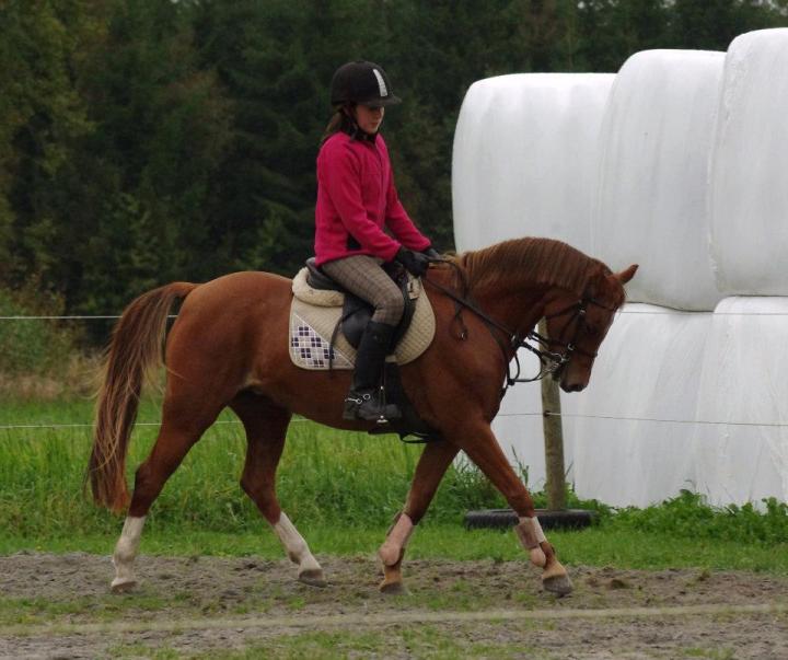 315751_2324266500418_453029201_n