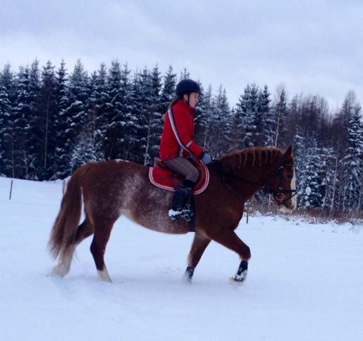 537619_10200311971496228_1100104595_n