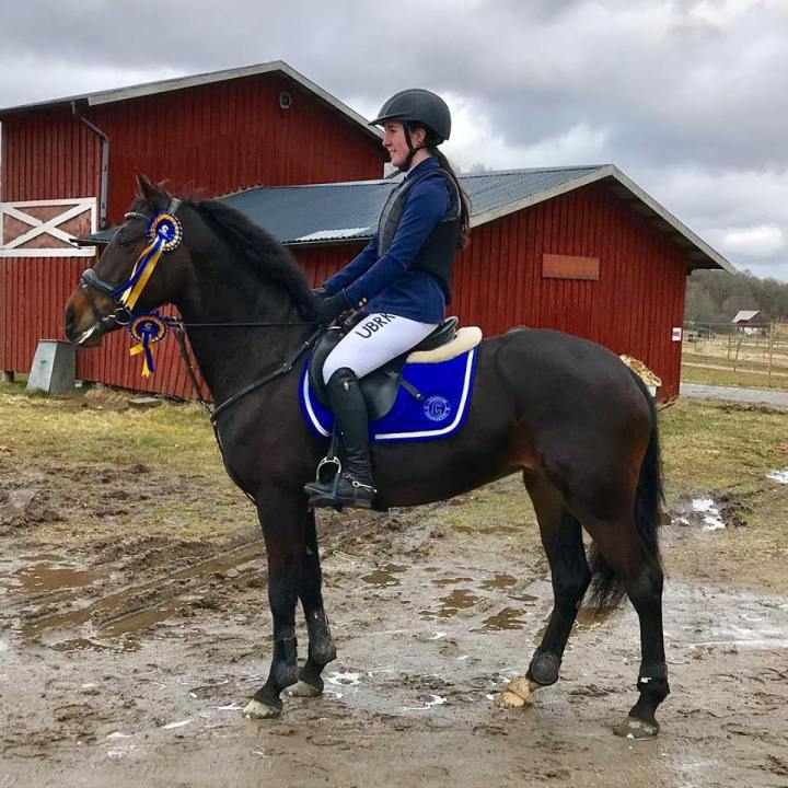 55552034_10216661364300830_4746844146696716288_n