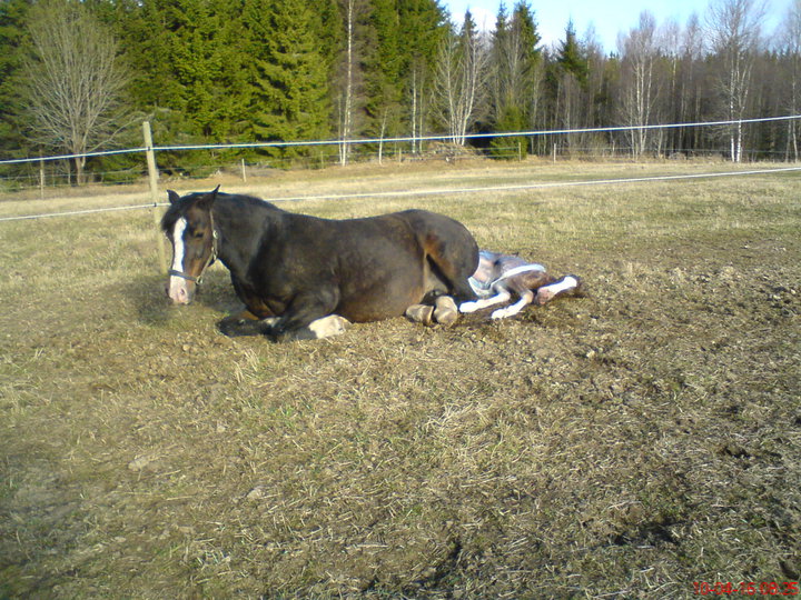 25414_1400626609998_1526749_n