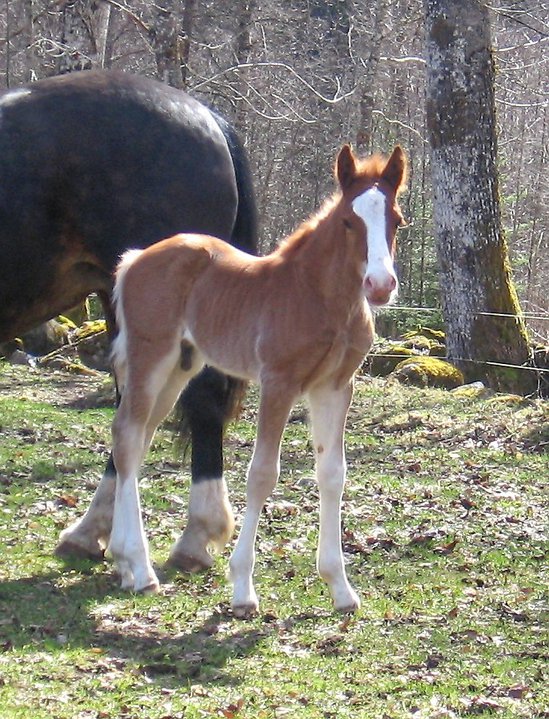 26925_1408715332211_7015383_n