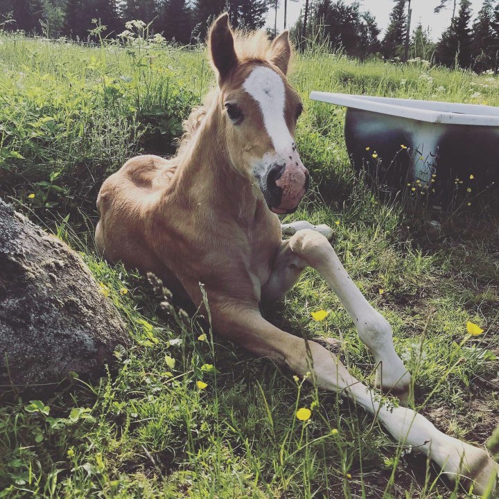 4b1cc6bb-3fc6-4ffa-8c27-54a4a4962cbe