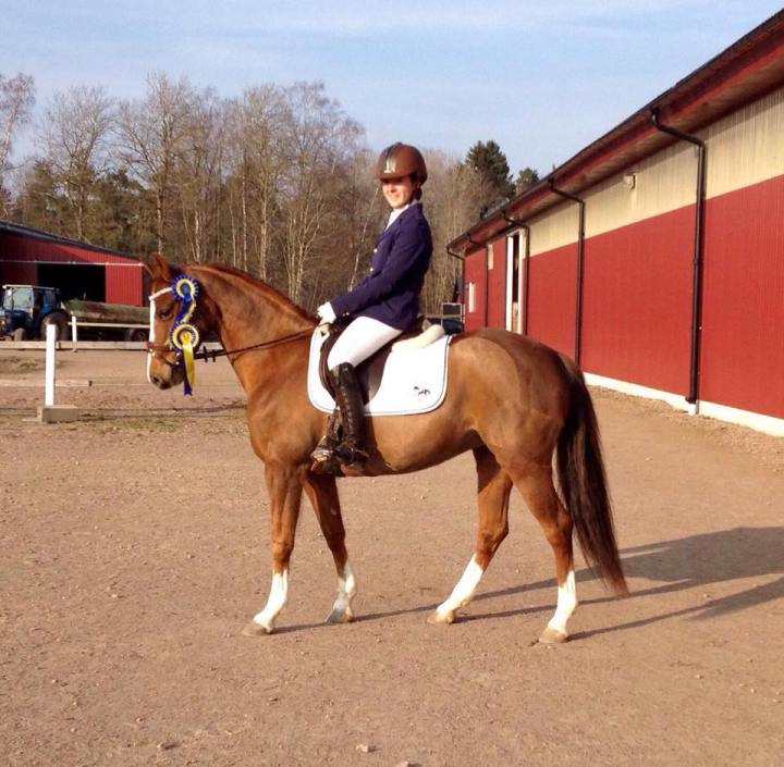 11149330_808100965892591_5299385546853652884_n